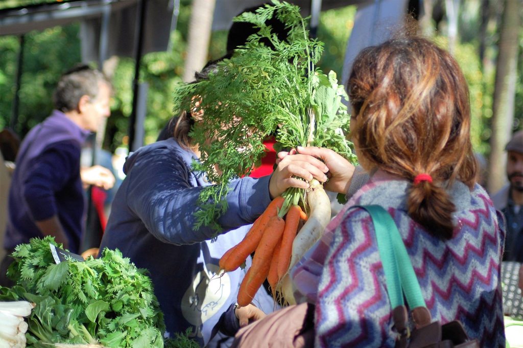 ECO Mercados Zapelia Panadería